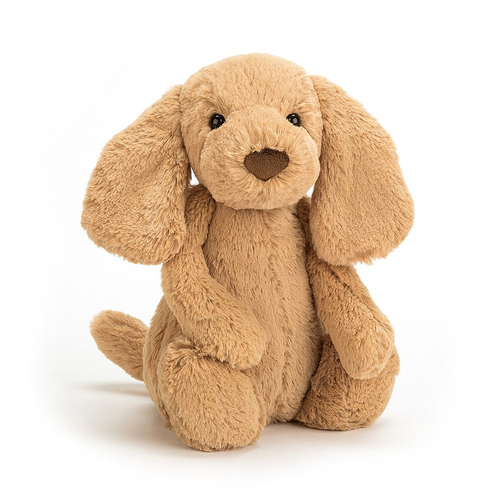 jellycat bashful toffee puppy big -huge