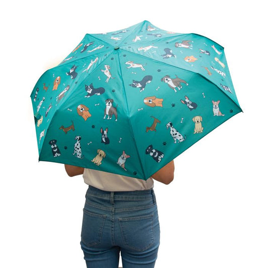 the dog collection foldable umbrella - turquoise