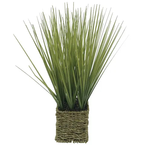 onion grass 41cm in woven basket