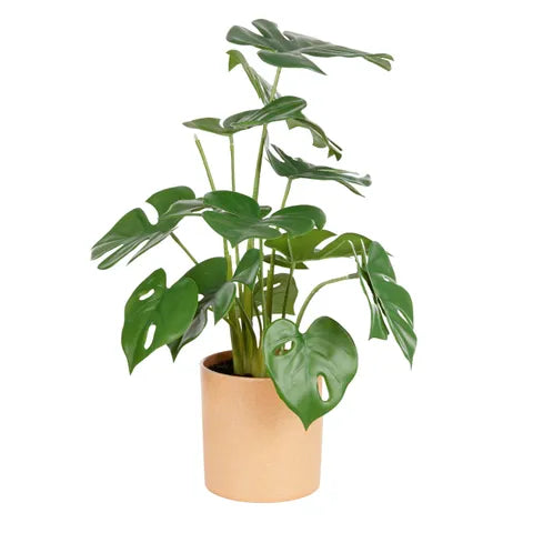 monstera real touch 38cm in pot 11x11cm