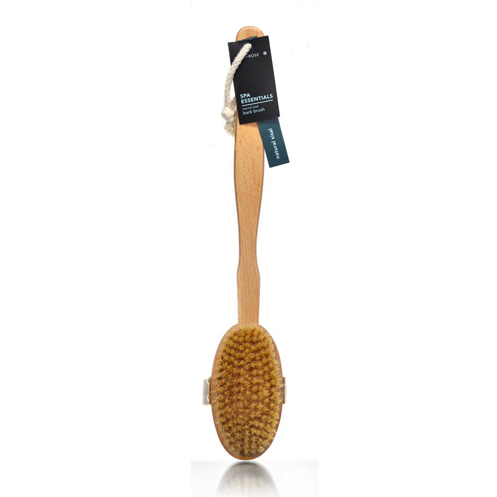 sisal back brush